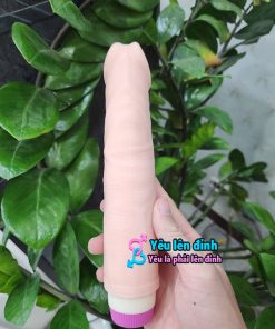 Dương vật giả 2 pin giá rẻ YLD003 8