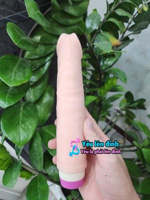 Dương vật giả 2 pin giá rẻ YLD003 8