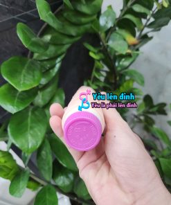 Dương vật giả 2 pin giá rẻ YLD003 3