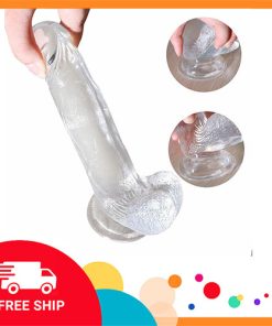 Cu giả gắn tường trong suốt YLD083 5